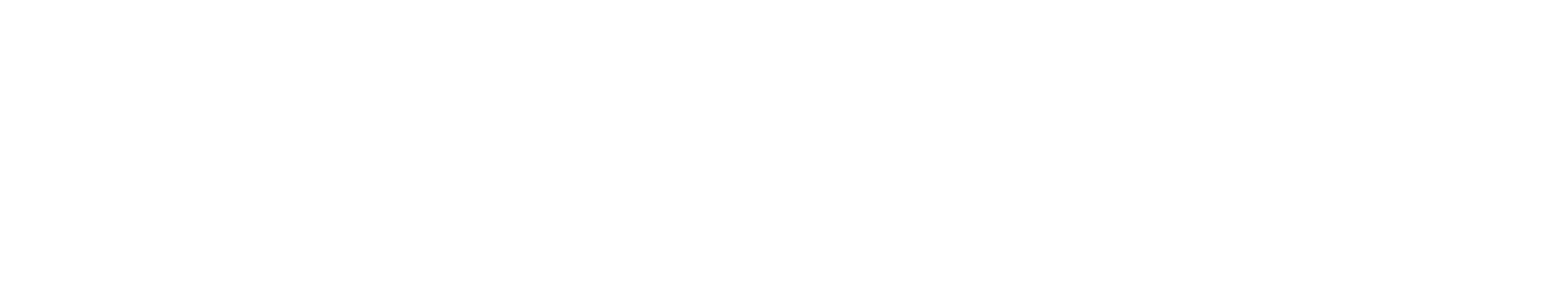 STA International
